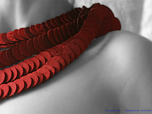 slang_plat_rood